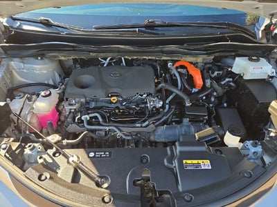 2023 Toyota Sienna XSE